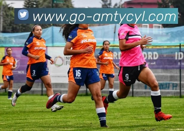 太阳城网站APP 封面图